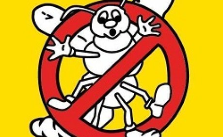 Bug Busters, Inc.
